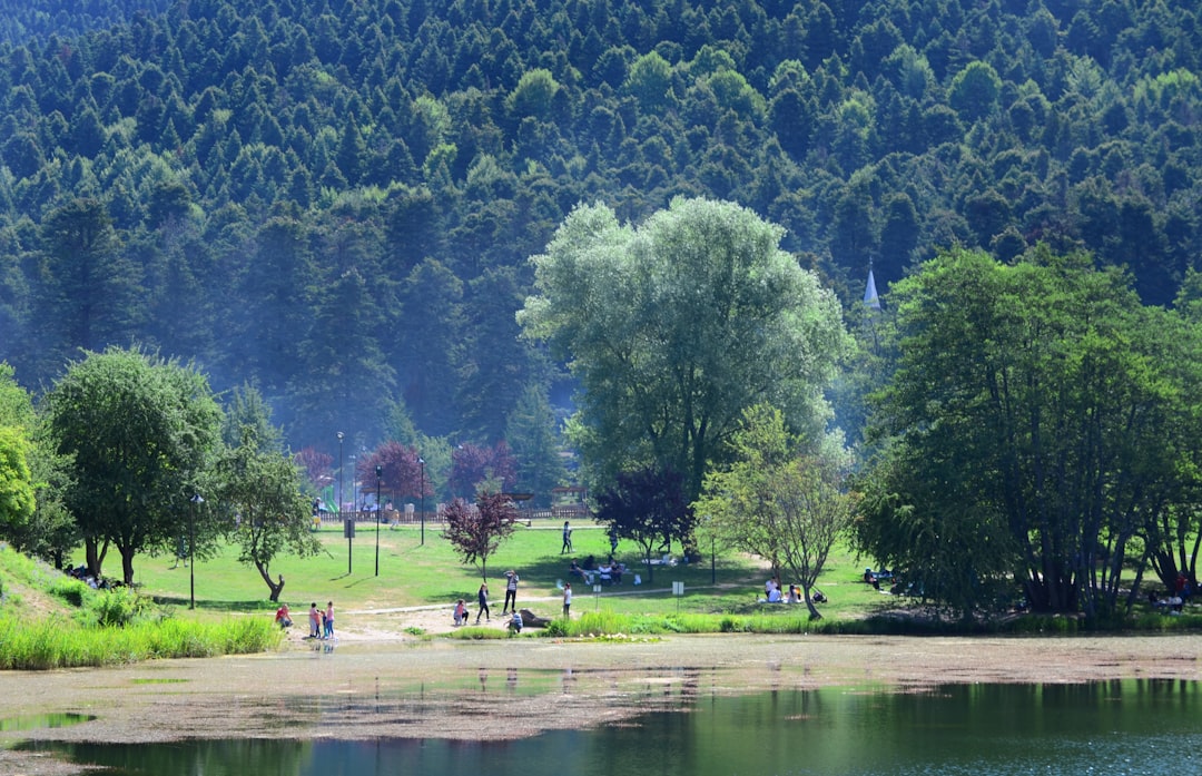 iPhone ve iPad tamiri — Bolu
